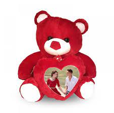 Customized Photo Teddy Bear